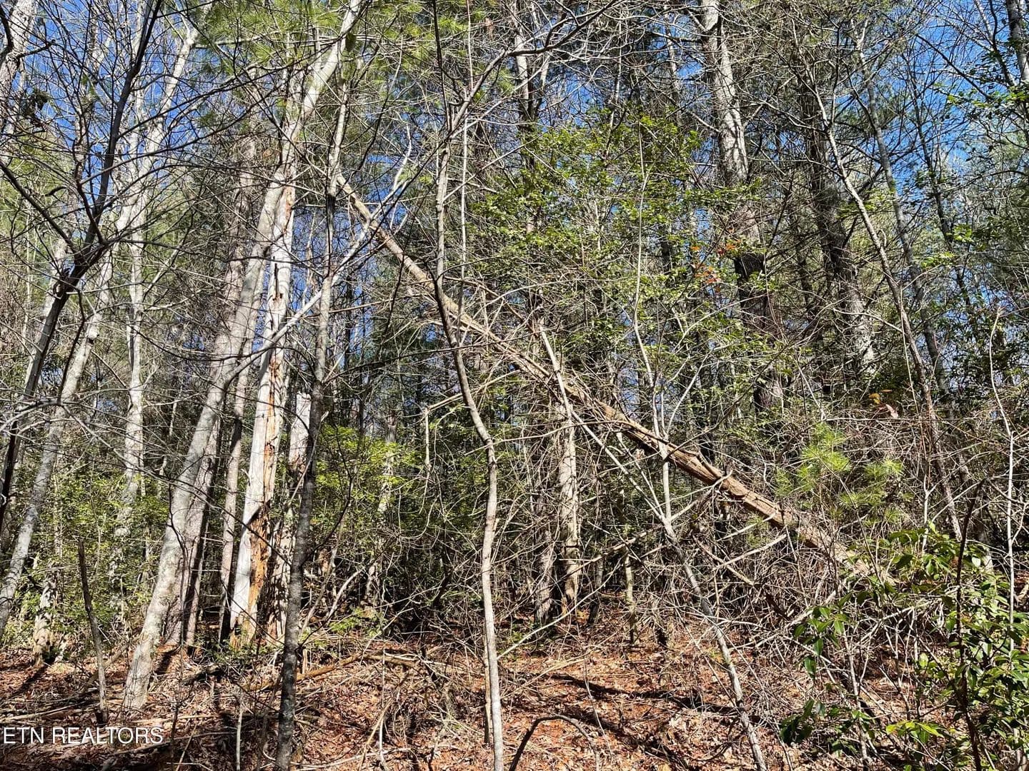 Lots & Land-Other in Crossville - Crossville, Tennessee, 38558