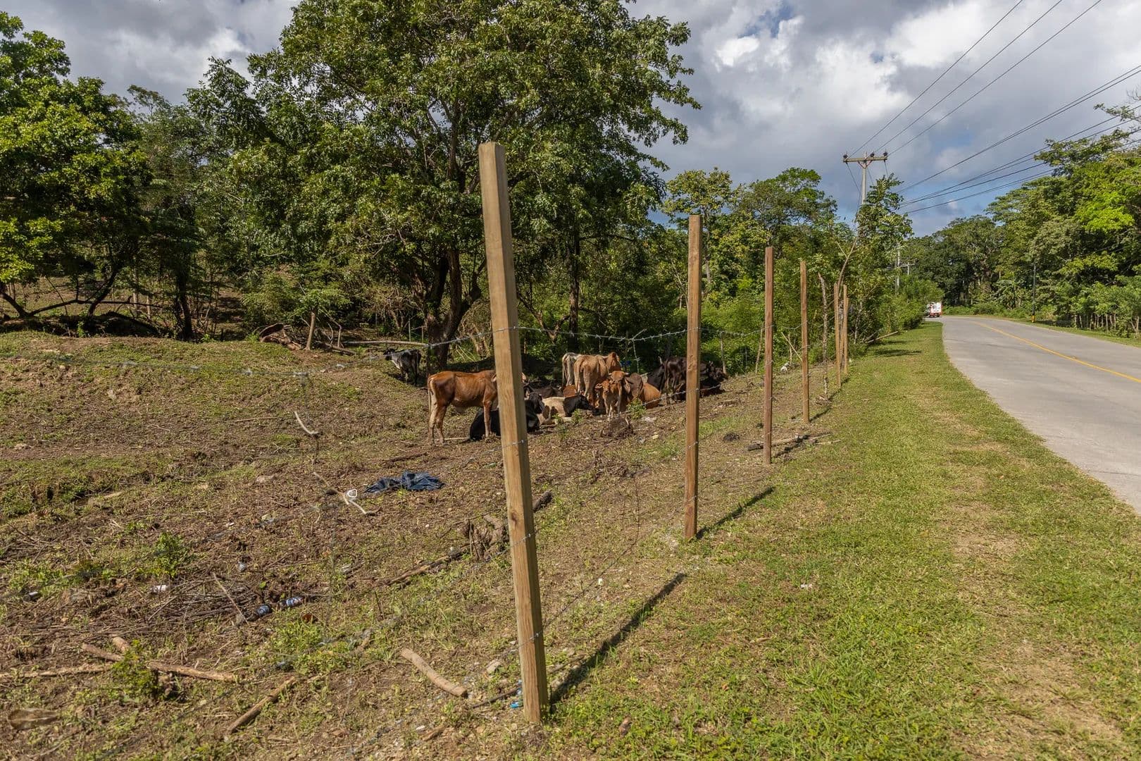 Lote Corozal 2.39 acres - land for sale