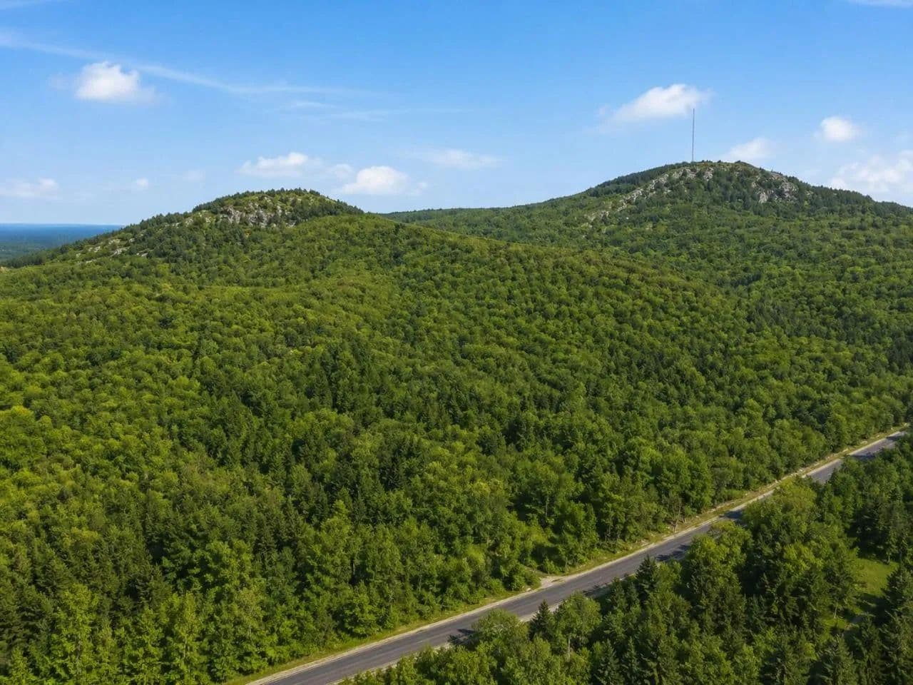 Land -Single Family Acreage in Clifton - Clifton, Maine, 04428