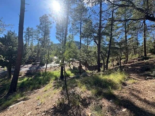 Lots & Land-Other in Pine - Pine, Arizona, 85544
