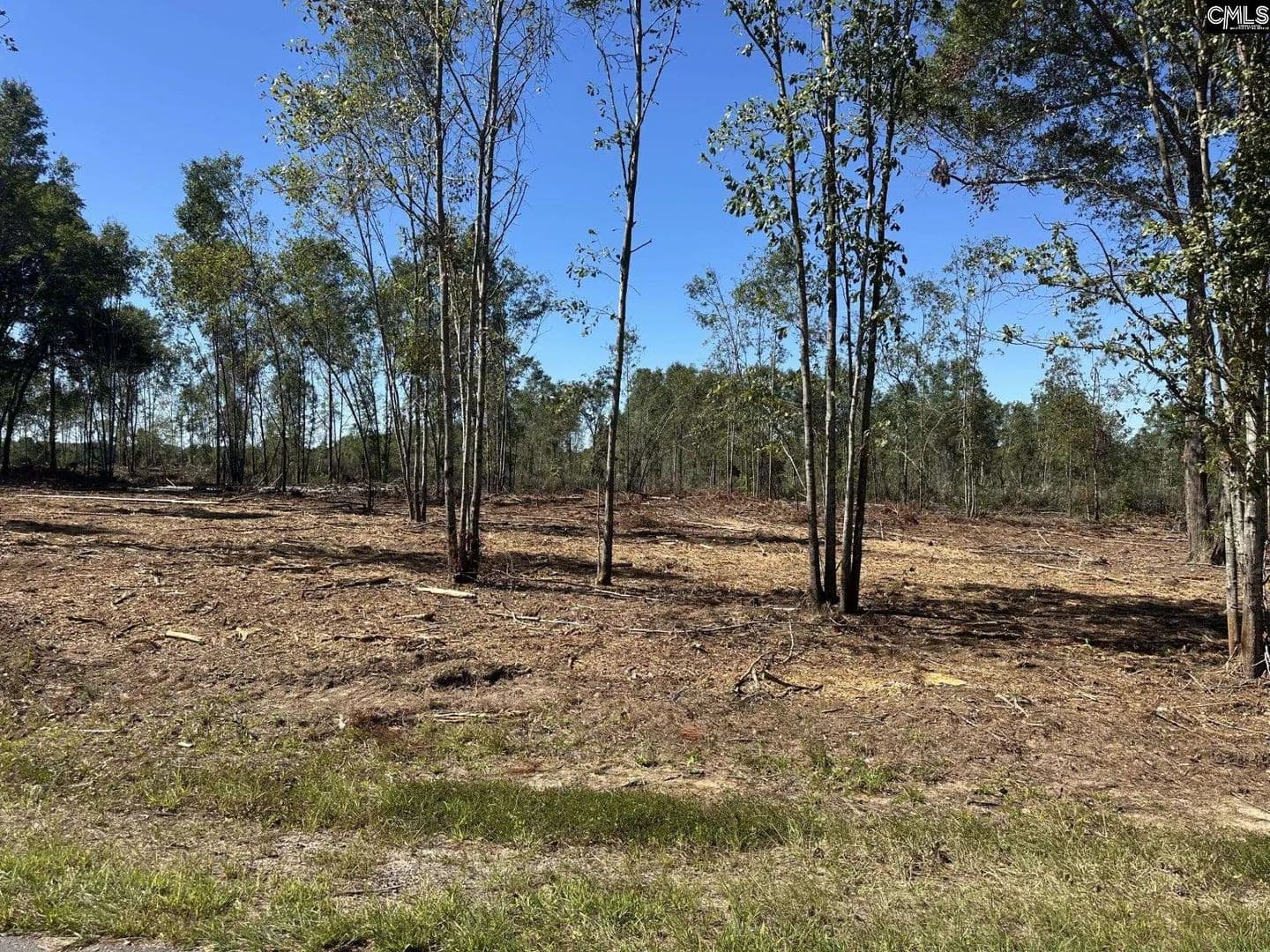Vacant Land in Pomaria - Pomaria, South Carolina, 29126