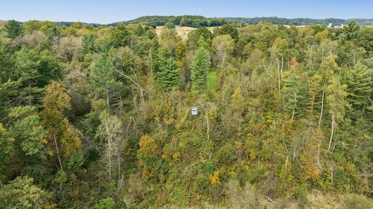 Turnkey 28± Acre Hunting Property Near Melrose, Wisconsin - Melrose, Wisconsin, 54642