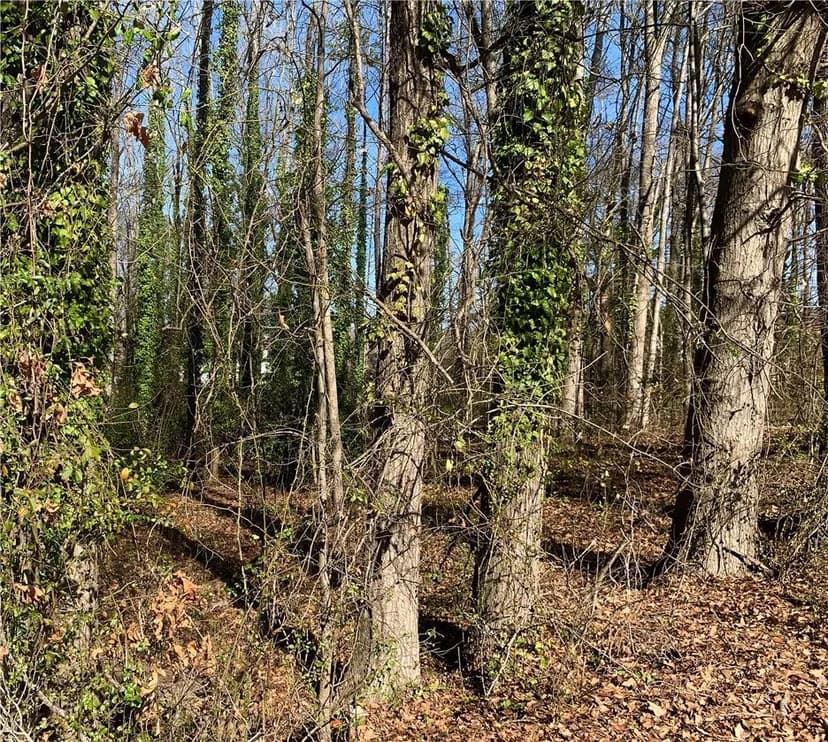 Vacant Land in Anderson