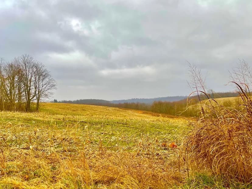 Lots & Land-Other in Piketon