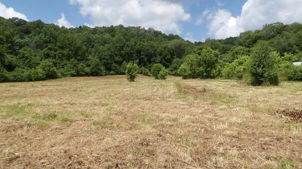 Property from 5.6ac Lonnie Reecer Rd - KW - Celina, Tennessee, 38551