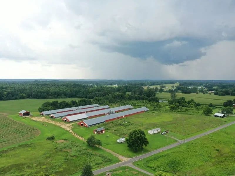 Fox Hollow Farm – Four House Broiler Farm in Dekalb County Alabama - Fyffe, Alabama, 35971