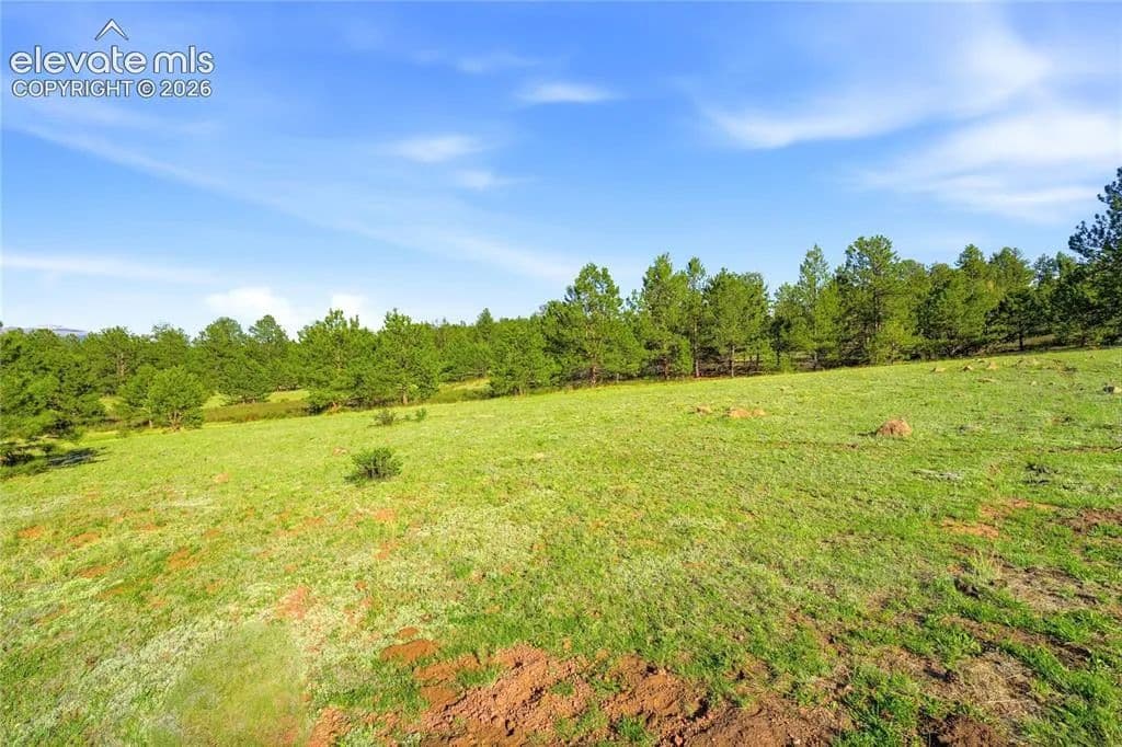20 Acres of Land for Sale in Guffey, CO - Guffey, Colorado, 80820