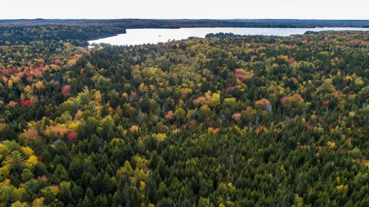 Land -Single Family Acreage in Whiting - Whiting, Maine, 04691