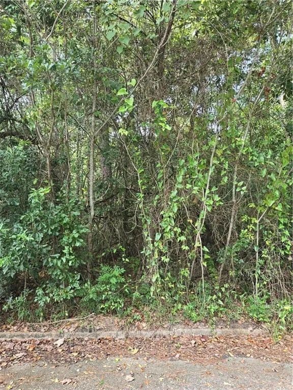 Vacant Land in Mobile - Mobile, Alabama, 36605
