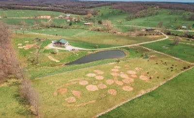 Bowman Creek Homestead