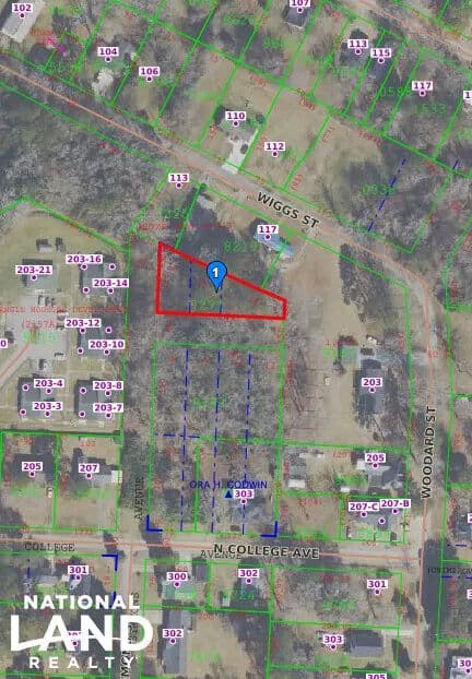 Wiggs Street 0.317 Acre