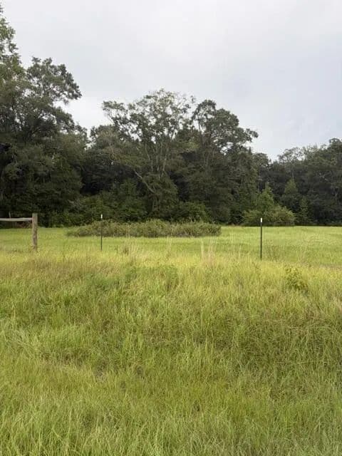 Land -Agricultural (Not Zoned) in Slocomb - Slocomb, Alabama, 36375
