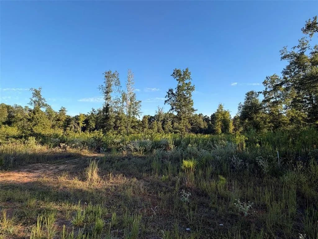 Vacant Land in Frierson - Frierson, Louisiana, 71027