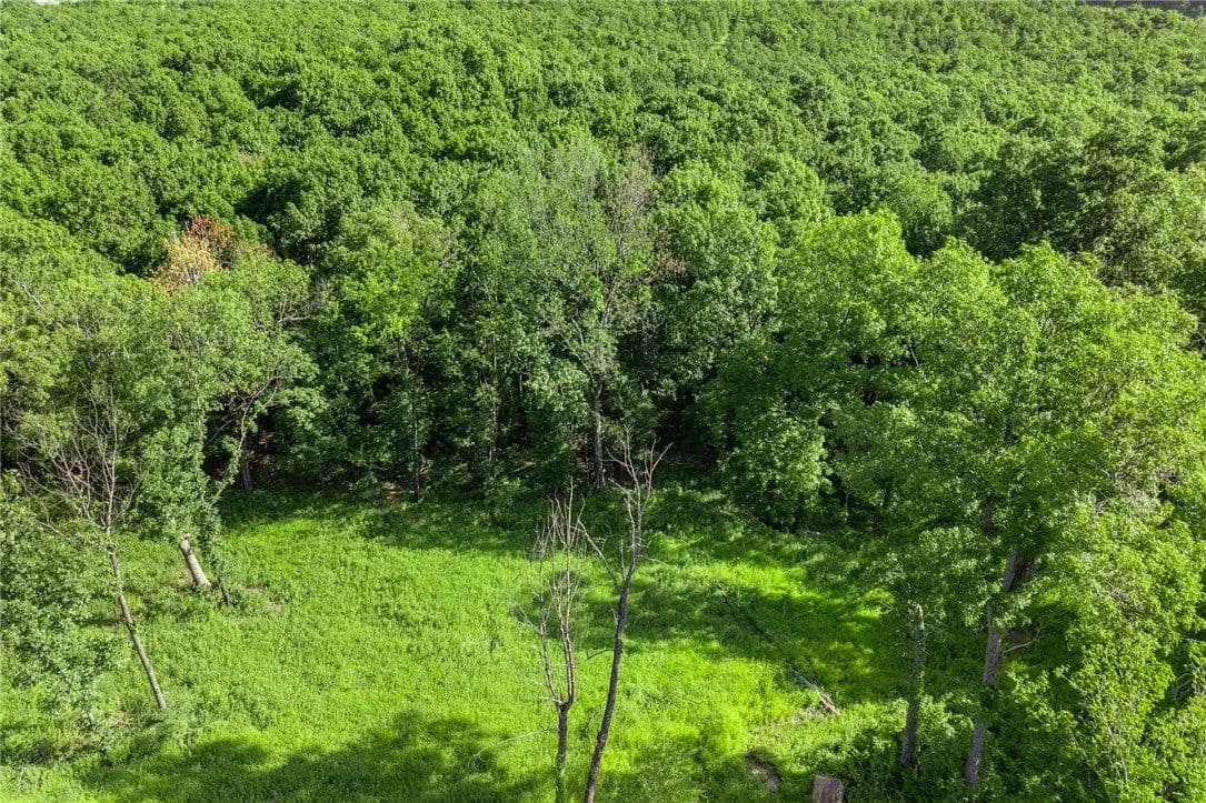 Lots & Land-Other in Harrison - Harrison, Arkansas, 72601