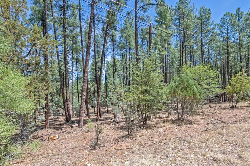 Lots & Land-Other in Pine