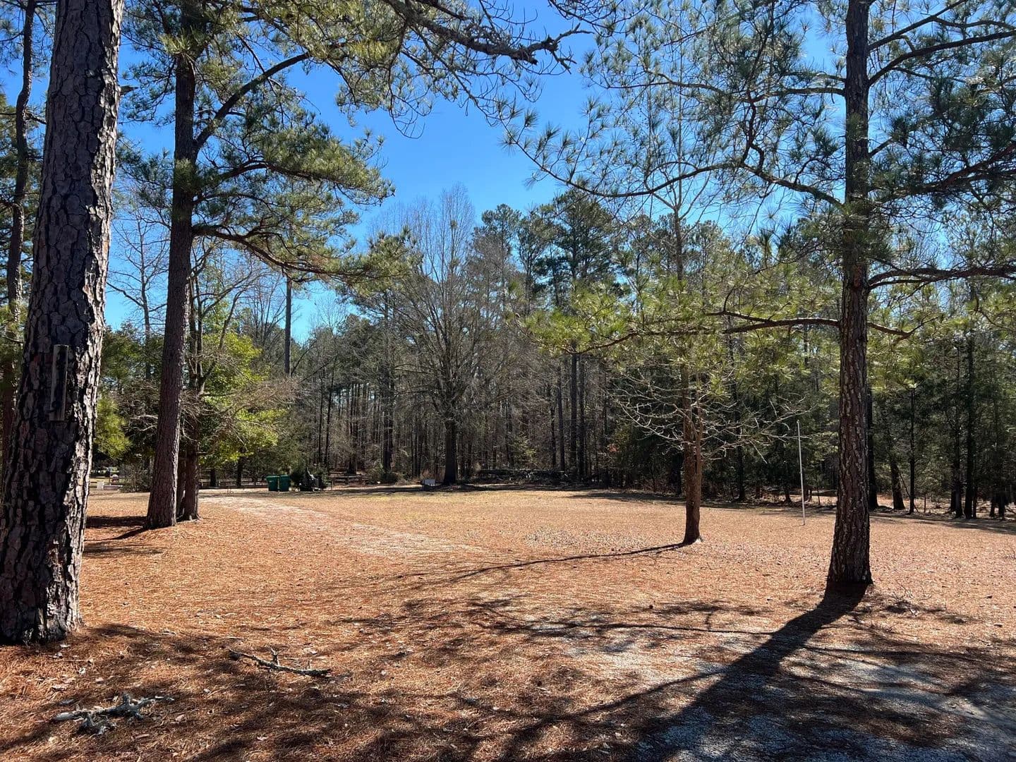 Property from 2369 Pine Ridge Drive - KW - Appling, Georgia, 30802