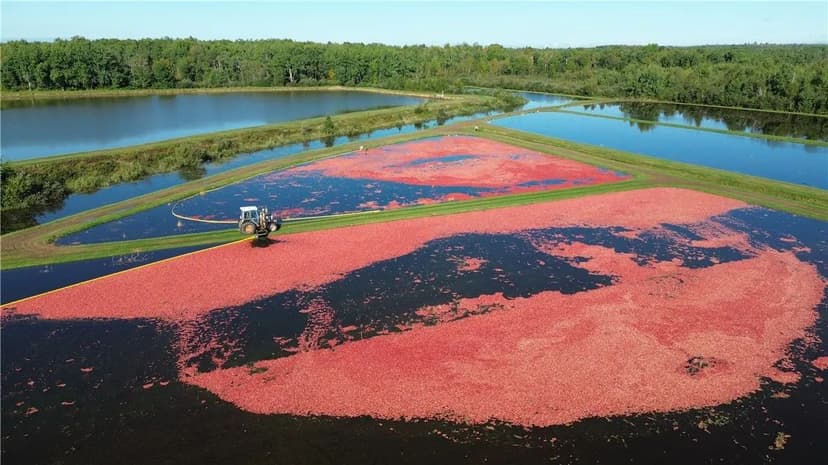 Property from 0 Hwy 27 - KW