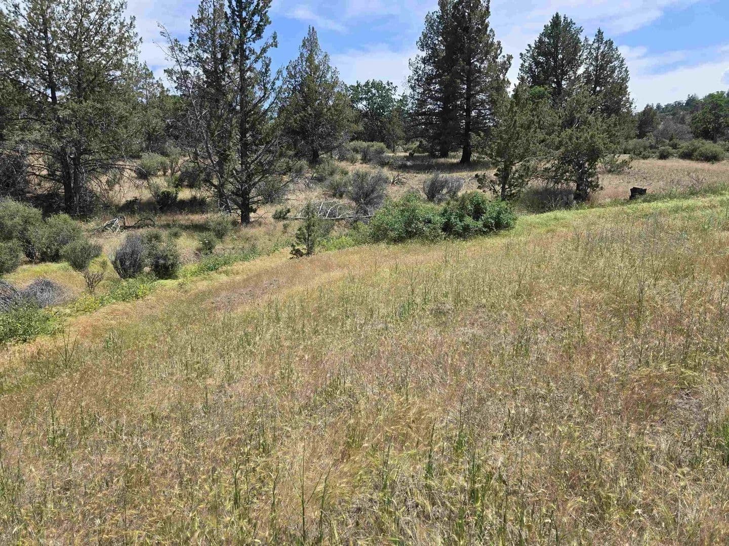 Lots & Land-Other in Hornbrook - land for sale