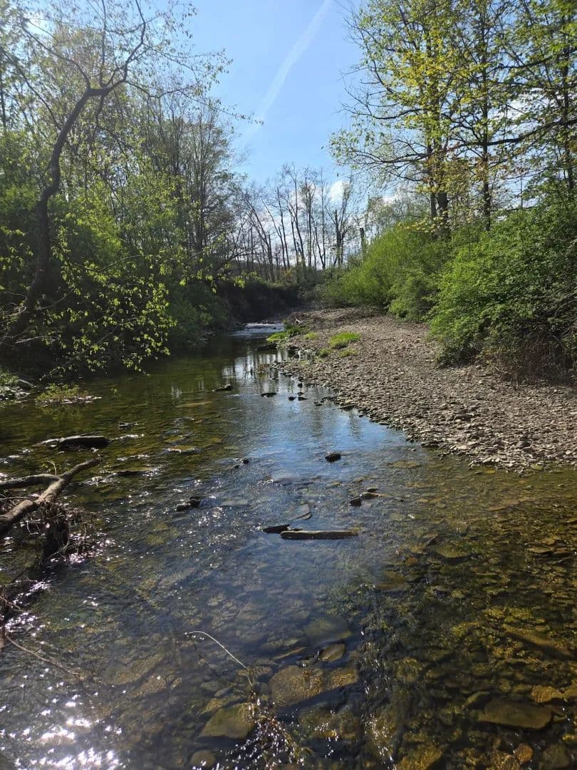 18 acre Wooded Lot with Creek for Recreational Use and Building Potential in Bliss NY Pochuck Rd