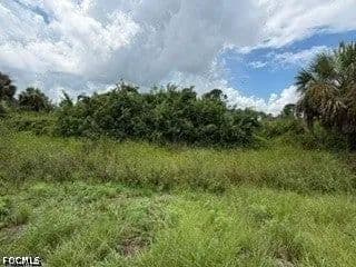 Lots & Land-Other in Lehigh Acres - Lehigh Acres, Florida, 33976