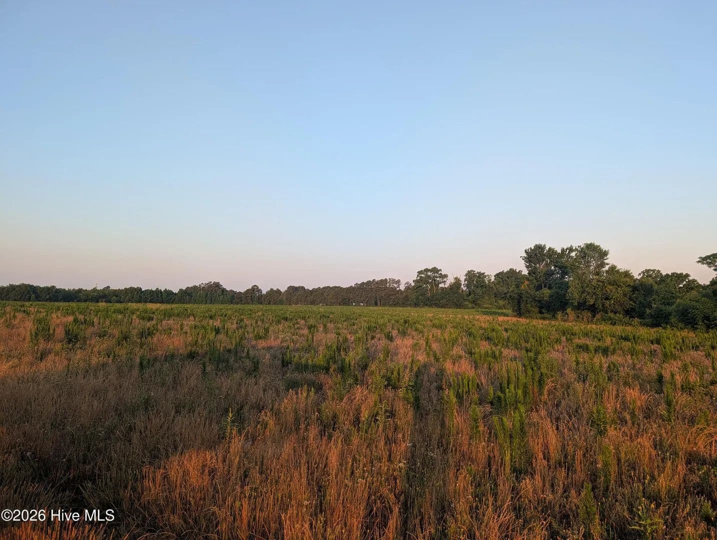 37.29 Acres of Land for Sale in Saint Pauls, NC - Saint Pauls, North Carolina, 28384