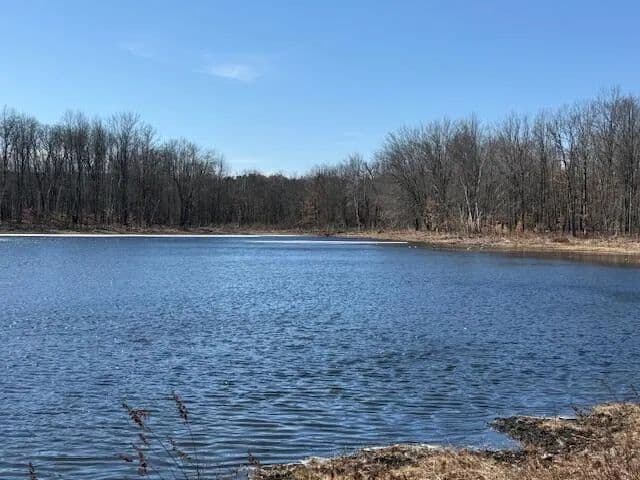 Lots & Land-Other in Mecosta - Mecosta, Michigan, 49332
