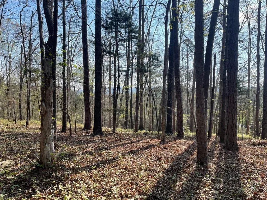 4.49 Acres of Land for Sale in Cave Spring, GA - Cave Spring, Georgia, 30124