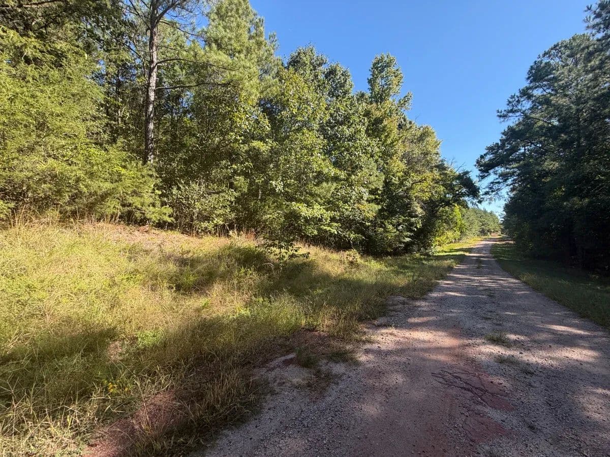 County Line Road 6061 - Candor, North Carolina, 27229