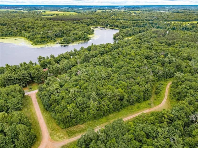 Vacant Land in Lincoln Twp