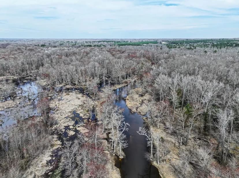 116.3+/- Acres of Hunting, Recreational, and Residential Land For Sale in New Kent County, VA!