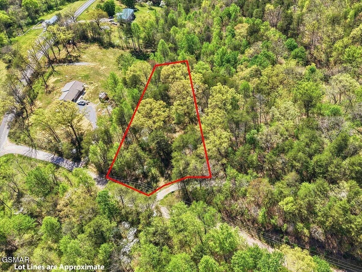 Vacant Land in Cosby - Cosby, Tennessee, 37722