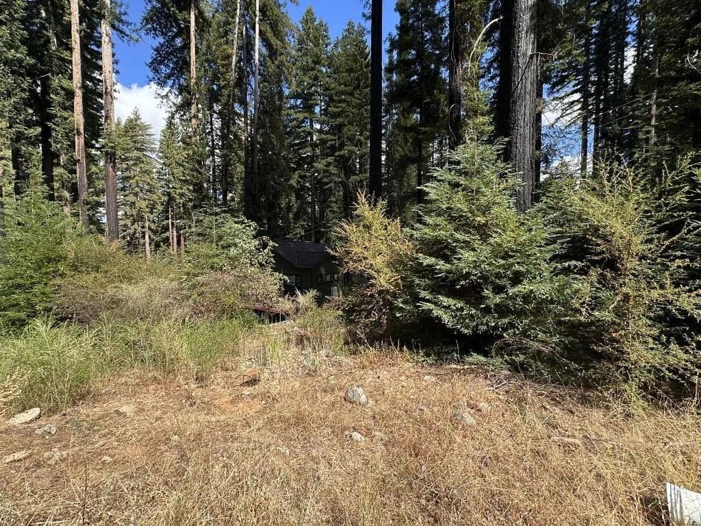 Vacant Land in Boulder Creek - Boulder Creek, California, 95006