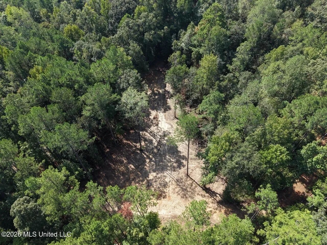 45± Acre Hunting Property in Franklin County, MS - Meadville, Mississippi, 39630