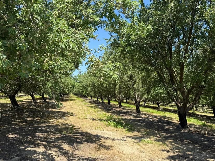 Property from 0 Sunset - KW