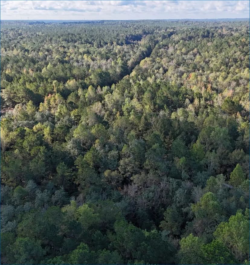 53.7 Acres in Forrest County in Hattiesburg, MS