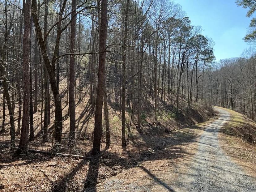 Lots & Land-Other in Ranger