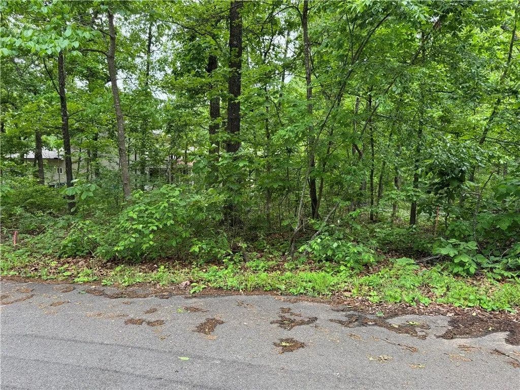 Lots & Land-Other in Bella Vista - Bella Vista, Arkansas, 72715