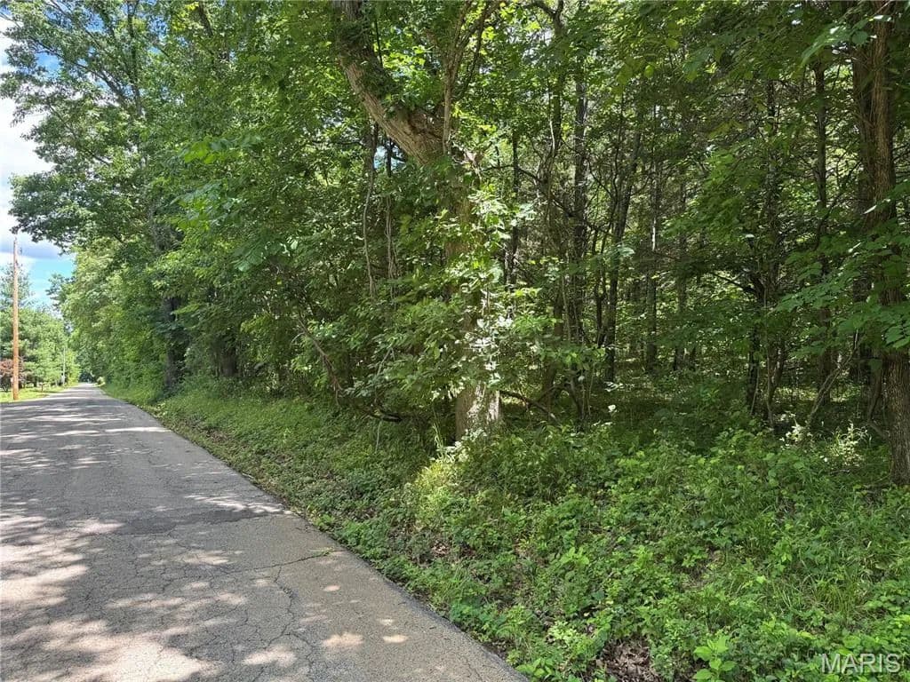 34 Acres of Land for Sale in Valles Mines, MO - Valles Mines, Missouri, 63087