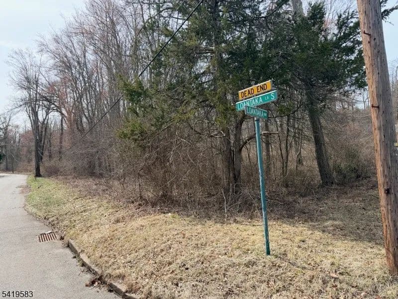 Vacant Land in Chatham Twp.