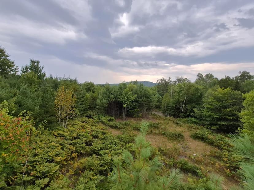 Property from 21 Mill Hill Road - KW