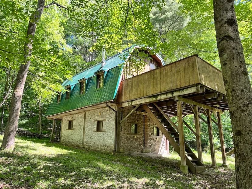 Off Grid Cabin on 11 acres in Richburg NY 324 Main St