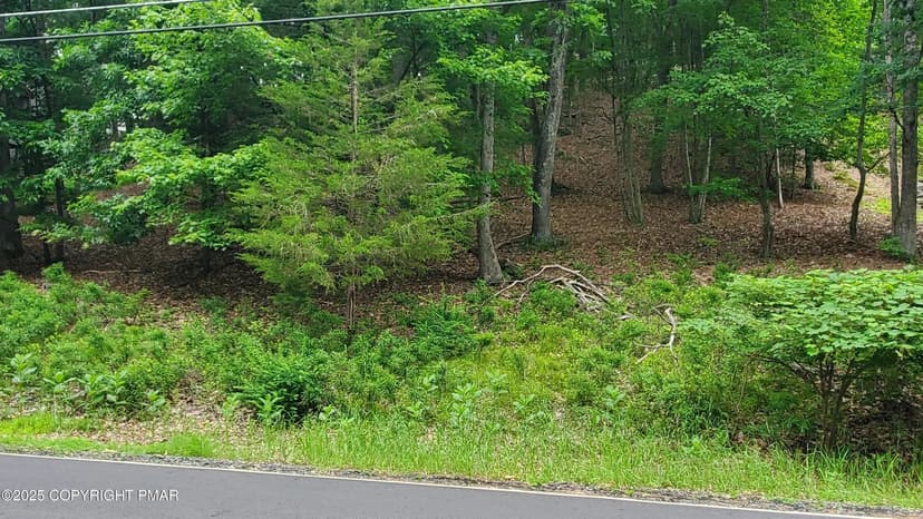 Vacant Land in Bushkill