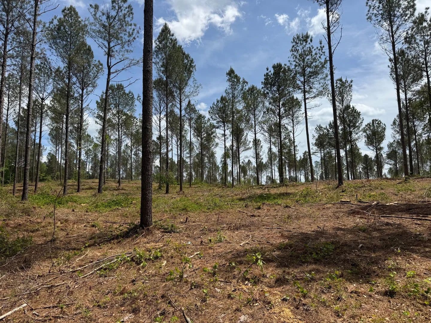 14+/- Acres- Elbert County, Georgia - Dewy Rose, Georgia, 30634