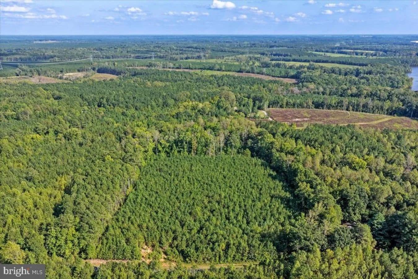 Lot 7 and 8 County Pond Road - Freeman, Virginia, 23856