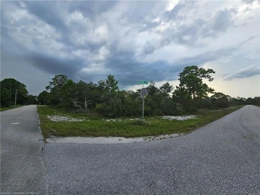 Lots & Land-Other in Lake Placid - land for sale
