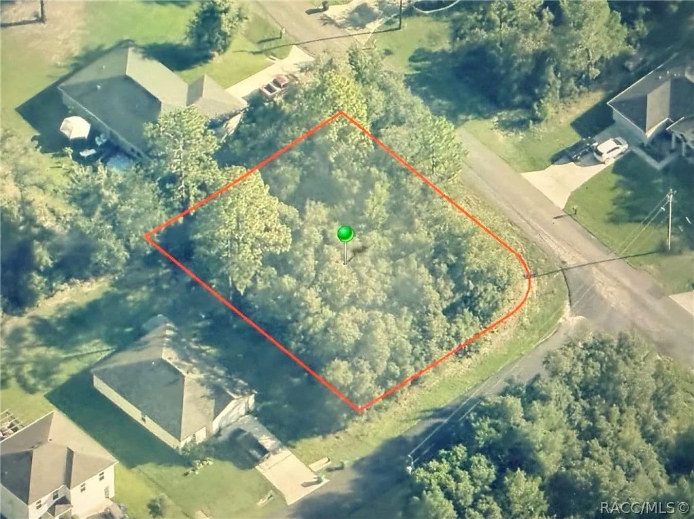 3115 W Babcock Place - Citrus Springs, Florida, 34433