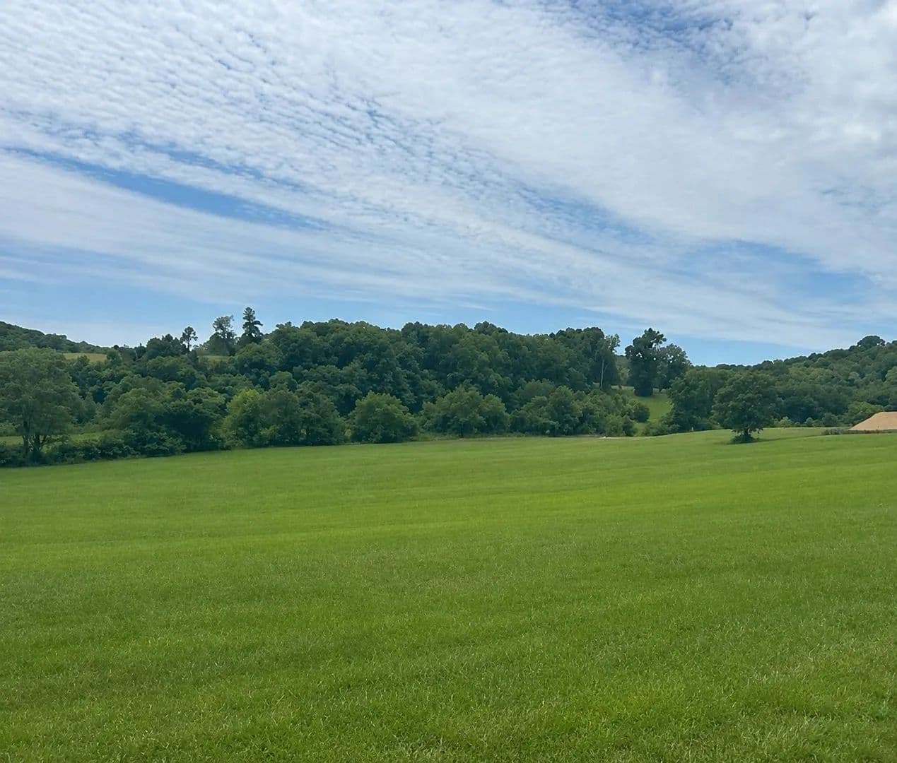 Vacant Land in Thompsons Station - Thompsons Station, Tennessee, 37179