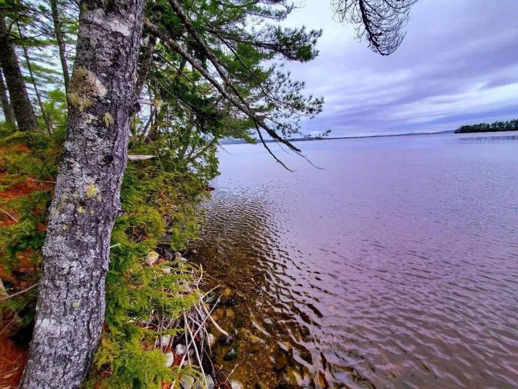 Land -Single Family Acreage in Ellsworth - land for sale