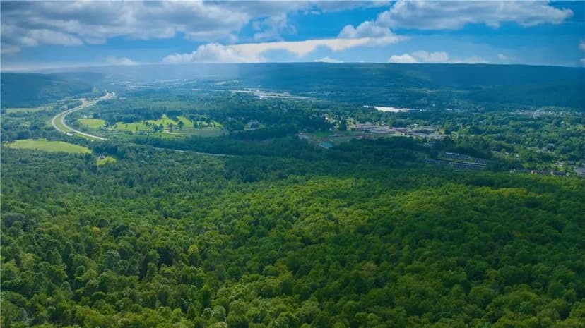 Land -Single Family Acreage in Sidney