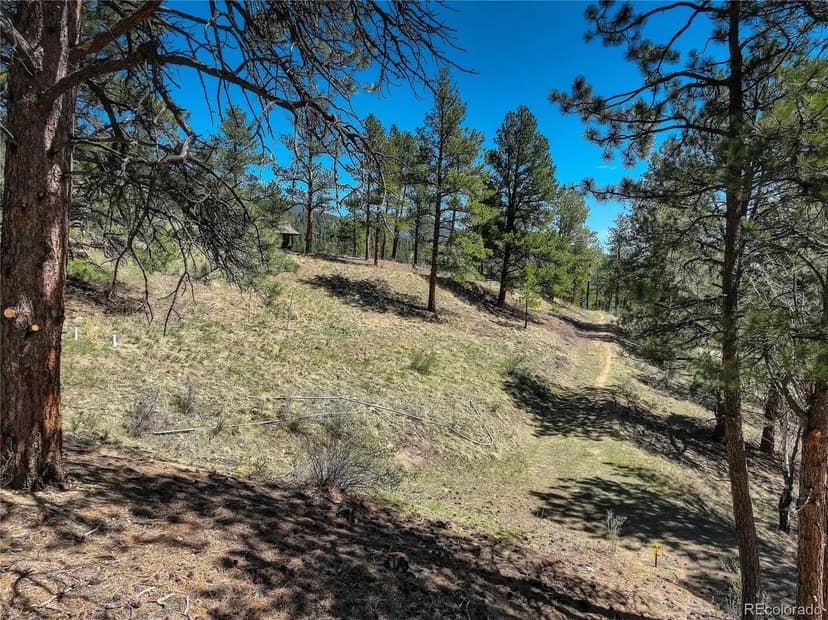 Vacant Land in Evergreen